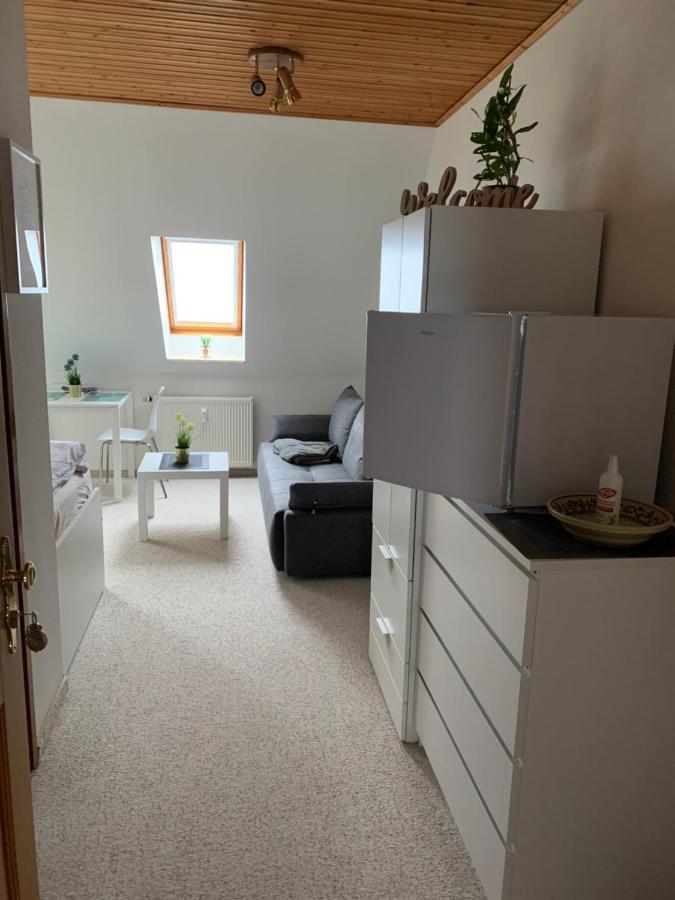 Apartment Am Goethe Park Jena Bagian luar foto