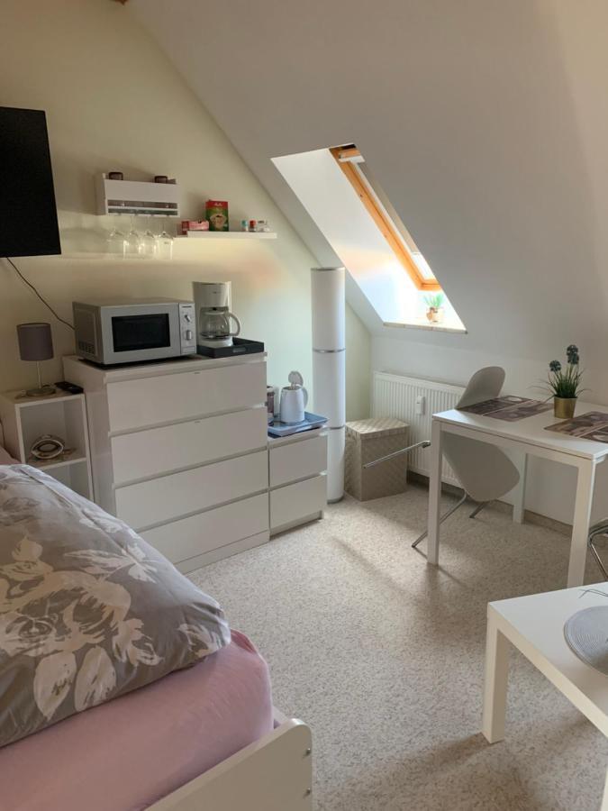Apartment Am Goethe Park Jena Bagian luar foto